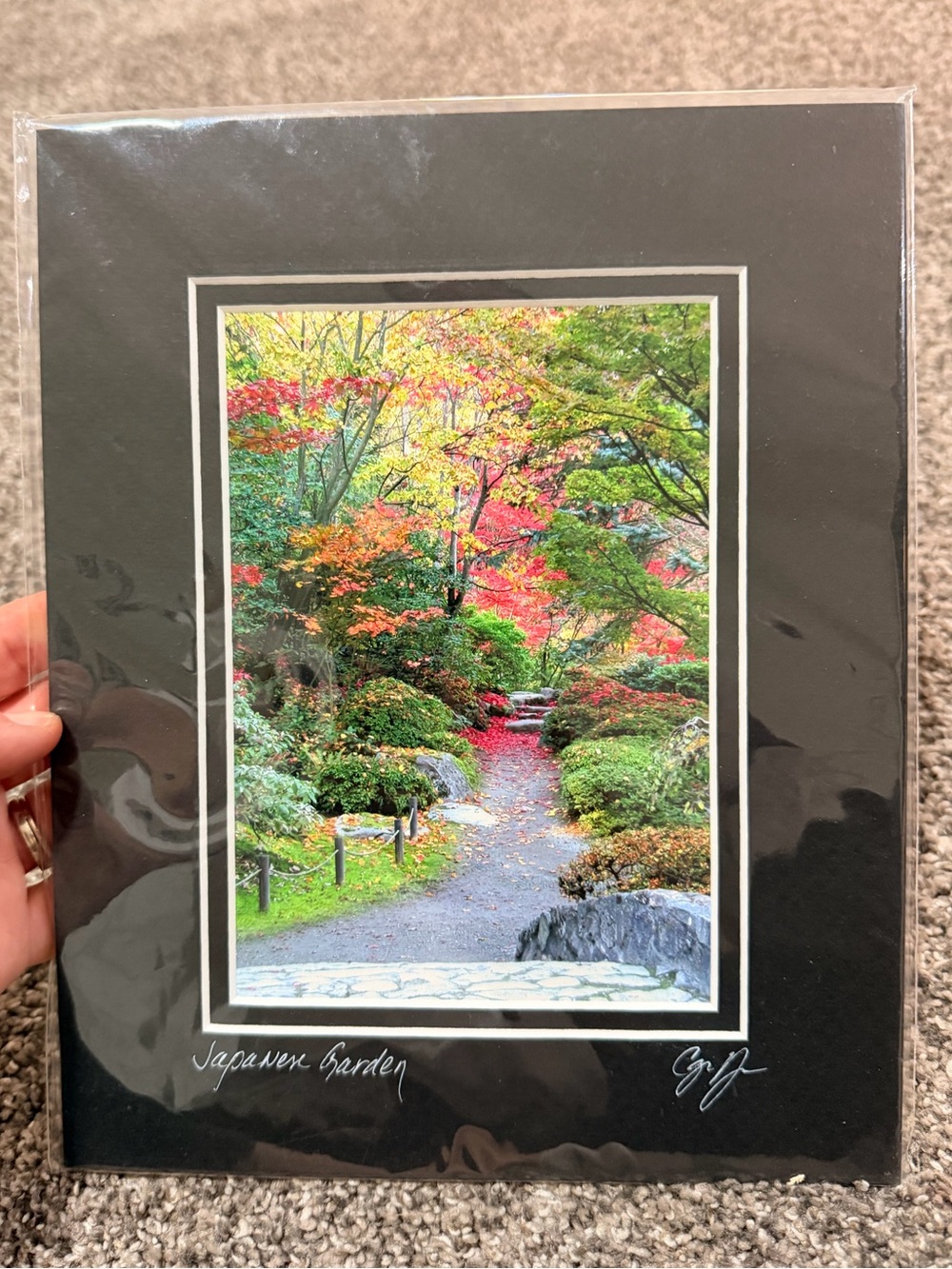 New Japanese Garden Fall Pathway Photo Print 8x10